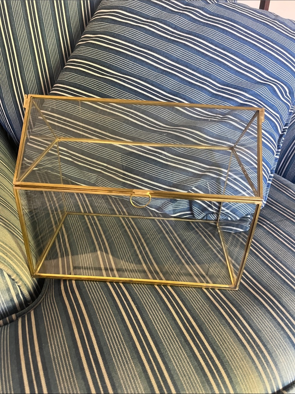 Gold Glass Display Storage Box - Clear Organizer